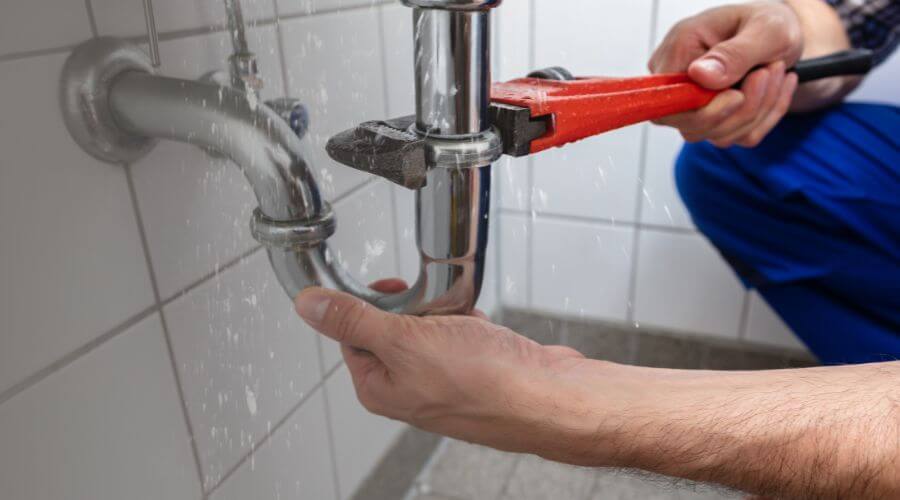 Leak Detection Services in Island Lake, IL